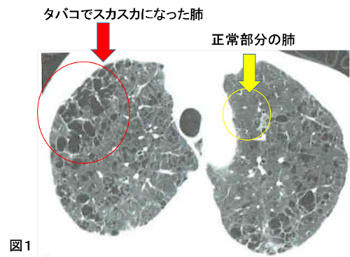 図1